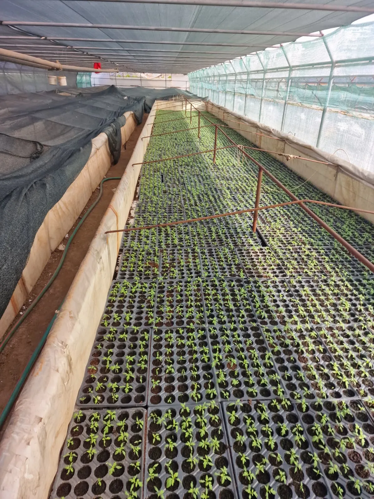 Instalație încălzire seră profesională